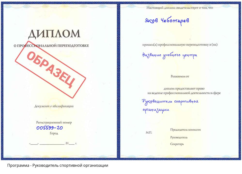 Руководитель спортивной организации Уссурийск