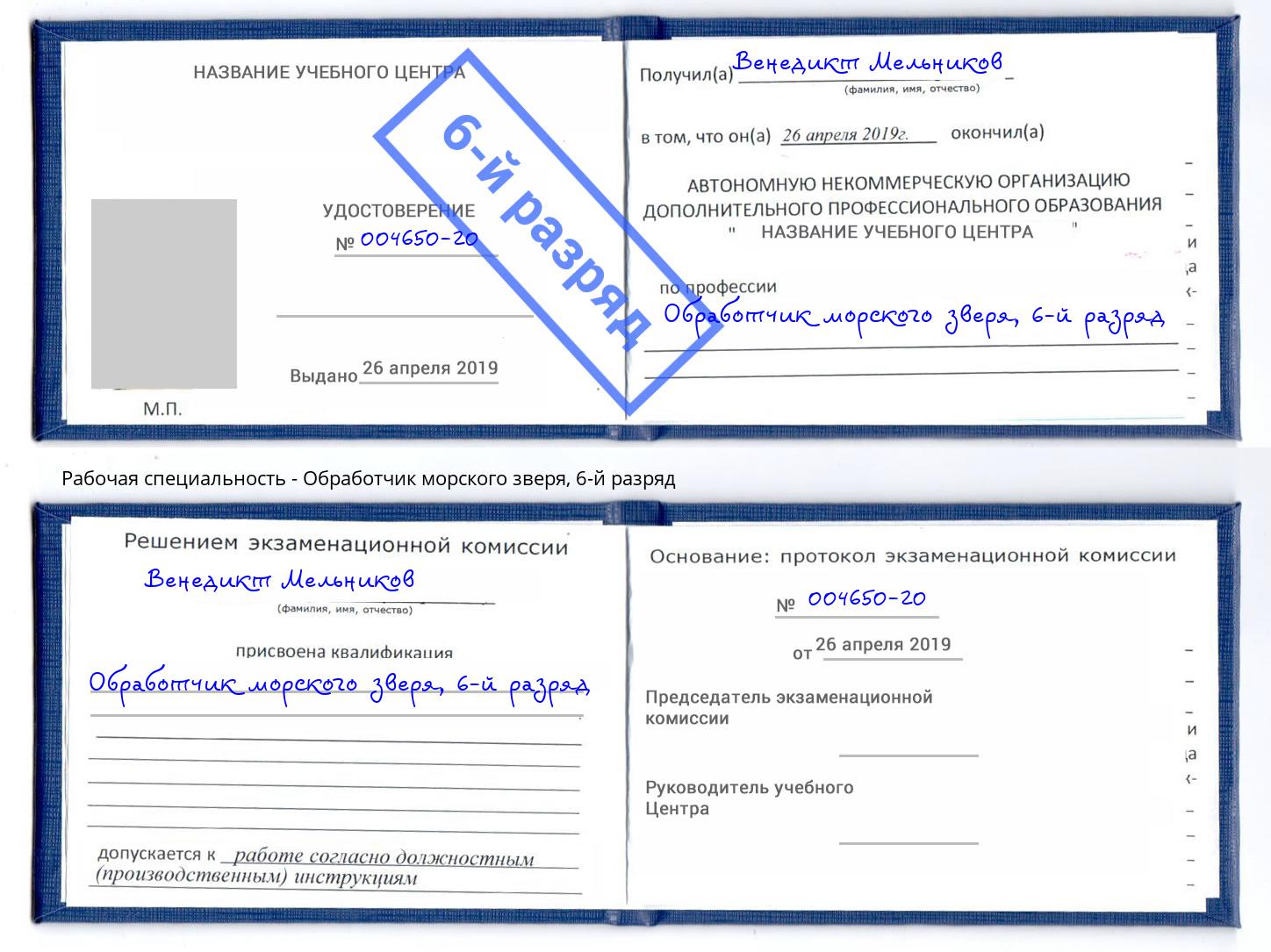 корочка 6-й разряд Обработчик морского зверя Уссурийск